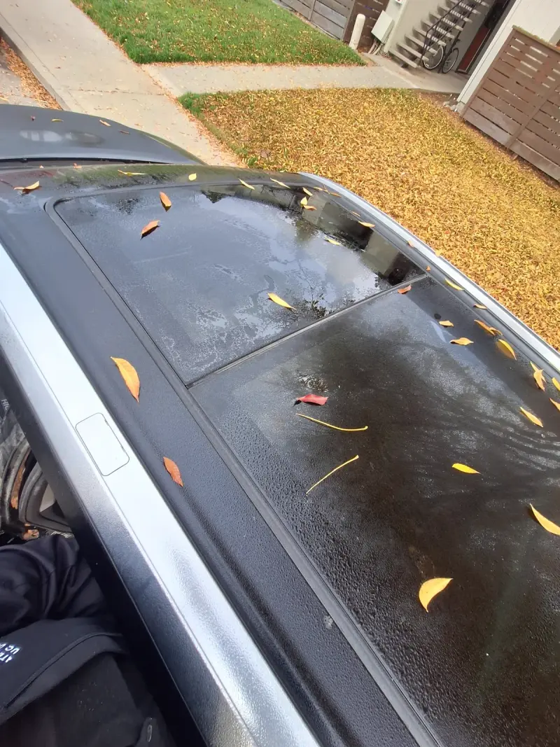 Wet sunroof glass with fall leaves showing seal and drainage on vehicle in Roseville CA